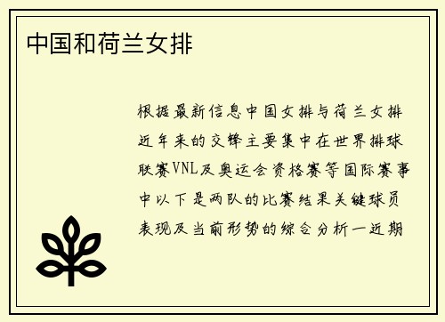 中国和荷兰女排